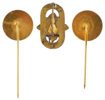 ~1960. "Testnevelés és Sport Érdemes Dolgozója" aranyozott, zománcozott fém jelvény + DN &...