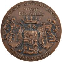 Asszonyi Tamás (1942-) DN "Szabolcs-Szatmár-Bereg Megyei Közgyűlés emlékplakettje" kétolda...