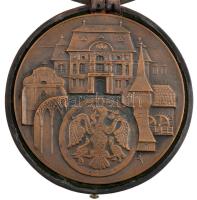 Asszonyi Tamás (1942-) DN "Szabolcs-Szatmár-Bereg Megyei Közgyűlés emlékplakettje" kétolda...