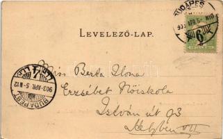 1903 Mátyás király tudósai és művészei körében. Ernszt Lajos gyűjteményéből. Magyar művelődéstörténe...