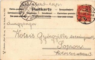 1901 Art Nouveau lady art postcard. ASW Collection "Vlan" No. 223. Fec. Ch. Scolik + titko...