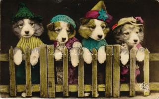 1931 Felöltöztetett kutyák / dressed up dogs (fa)
