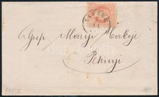 1869 5kr on cover "SISSEK" - Petrinia 1869 5kr levélen "SISSEK" - Petrinia