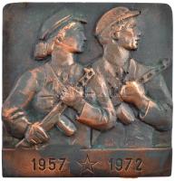 1972. 1957 - 1972 munkásőröket ábrázoló, felakasztható, bronzozott fém plakett eredeti tokban (133x140mm) T:2