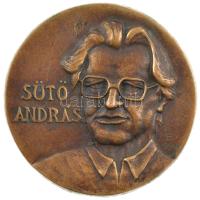 Horváth Sándor (1956- ) 1991. Sütő András / Pusztakamarás kétoldalas öntött bronz emlékérem (87mm) T:1- kis patina
