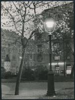 cca 1950-1970 Ugri jelzéssel: A park lámpája, amatőr művészfotó, 24x18 cm