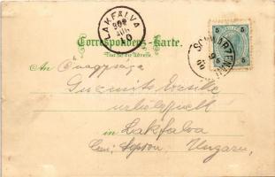 1900 Schwarzenau, Schloss, Bahnhof mit Restauration / castle, railway station, restaurant. Druck v. ...