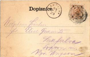 1899 (Vorläufer) Susice, general view (fl)