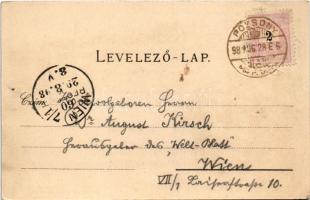 1898 (Vorläufer) Pozsony, Pressburg, Bratislava; vár, gőzhajó, Cigány zenekar / castle, steamship, G...