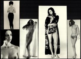 Mutatós portékák - cca 1978 előtt készült, szolidan erotikus felvételek, 5 db vintage fotó jelzés nélkül, ezüst zselatinos fotópapíron, 23,5x12,5 cm és 12,7x7 cm között