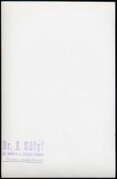 cca 1965 Dr. Sólyi József (?-?) budapesti fotóművész hagyatékából pecséttel jelzett, vintage fotó (E...