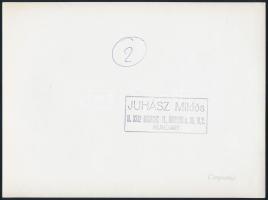cca 1979 Juhász Miklós miskolci fotóművész pecséttel jelzett, vintage fotóművészeti alkotása (Csapol...