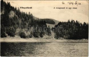 1909 Vihnye, Vihnyefürdő, Kúpele Vyhne; A roszgrundi tó egy része / lake (r)