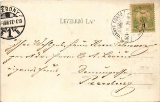 1904 Vihnye, Vihnyefürdő, Kúpele Vyhne; Szokács villa, Új fürdőház, vízesés / spa, villa, bathhouse,...