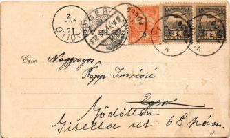 1902 Vihnye, Vihnyefürdő, Kúpele Vyhne; Gecsányi villa. Joerges A. özvegye és fia kiadása / villa, s...