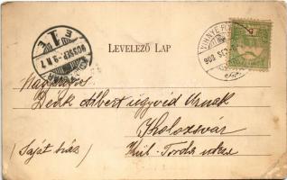 1903 Vihnye, Vihnyefürdő, Kúpele Vyhne; fürdő látképe / spa (EB)