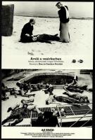 Gyilkosságok, kivégzések, halottak - különféle filmekből egy-egy jelenet, 13 db vintage produkciós f...