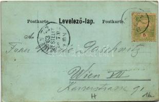 1902 Bazin, Bösing, Bözing, Pezinok; Vas fürdő / spa, bath, hotel (ázott / wet damage)