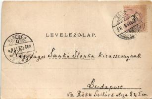 1899 (Vorläufer) Bazin, Bösing, Bözing, Pezinok; látkép, vas fürdő, fő tér, Magyar utca. Verlag Schu...