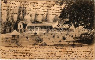1903 Szliács, Szliácsfürdő, Kúpele Sliac; Üvegház, kert. Ivánszky Elek kiadása / greenhouse, garden (EK)