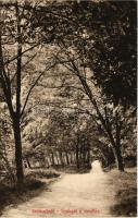1914 Szliács, Szliácsfürdő, Kúpele Sliac; Gyalogút a vasúthoz. Molnár M. kiadása / road to the railway station (EK)