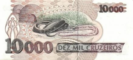 Brazília 21db klf modern bankjegy T:I