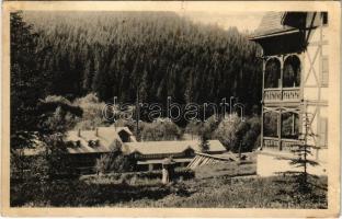 1929 Lublófüred, Lubló-fürdő, Kúpele Lubovna (Ólubló, Stará Lubovna); Aurora villa és fürdőház. Bernat Blayer kiadása / Villa Iris und Badehaus / villa, spa, bathhouse (r)