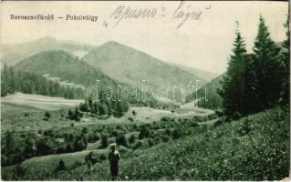 1923 Borosznófürdő, Brusno-kúpele (Borosznó, Brusznó, Brusno); Pokolvölgy / valley (EK)