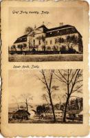 1919 Zsély, Zelovce; Sósár gyógyfürdő, Gróf Zichy kastély / Sosárske Lázne / spa, castle (r)