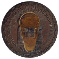 1918. "Hadirokkantak, Özvegyek és Árvák Országos Szövetsége 1914-1918" zománcozott bronz g...
