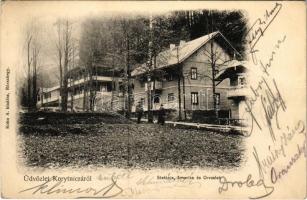 1908 Koritnyica, Korytnica; Stefánia, Amerika és Orvos lak, nyaralók. Kohn A. kiadása / villas (EK)