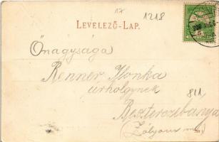 1908 Koritnyica, Korytnica; Stefánia, Amerika és Orvos lak, nyaralók. Kohn A. kiadása / villas (EK)