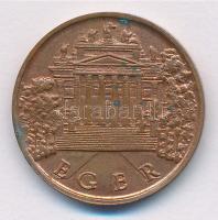 DN Eger / Officina Agriae bronz múzeumi zseton. Szign.: VE (25mm) T:2