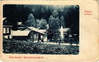 Koritnyica, Korytnica; Fedett sétány. Lechnitzky O. fénynyomdája 41. sz. / spa, promenade (szakadás / tear)