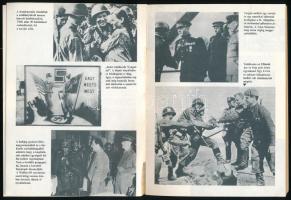 Nürnberg 1946. Összeáll.: Bokor László, Dózsa Ildikó, Kulcsár Péter, Róna Péter. Bp., 1982., MAFILM....