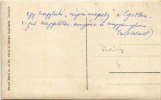 Nagylak, Nadlac; Népünnepély a ligetben. Kossak József fényképész / festival in the park. photo (fa)