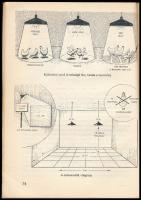 Molnár László: Hibridtyúk a háztájon. Kertünk, Házunk, Otthonunk. Bp., 1968., Mezőgazdasági. Kiadói ...