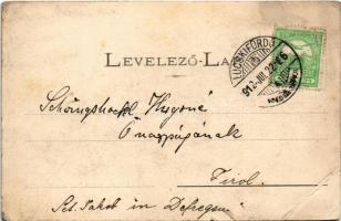 1912 Lucski-fürdő, Lúcky Kúpele (Liptó); látkép. Sochán P. kiadása / spa, general view (r)