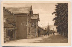 1926 Lucski-fürdő, Lúcky Kúpele (Liptó); fürdő, utca. Fot.-amat. Eichler / spa, street view (kopott sarkak / worn corners)