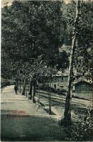 1910 Feketehegy-fürdő, Feketehegy, Schwartzenberg, Cernohorské kúpele (Merény, Vondrisel, Nálepkovo); Felső sétány / spa, promenade (EK)