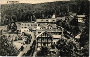 Feketehegy-fürdő, Feketehegy, Schwartzenberg, Cernohorské kúpele (Merény, Vondrisel, Nálepkovo); látkép / spa, general view