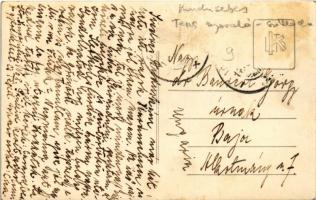 Karánsebes, Caransebes, Teus; Fűszfásnyaraló, Fűzfás nyaraló, szálló / villa hotel. photo (fl)