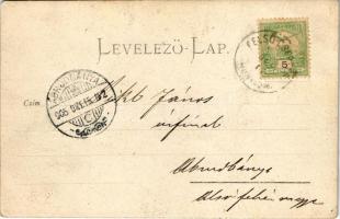 1905 Felsőcsertés, Certeju de Sus (Hunyad); Románok / Romanian folklore. photo (EK)