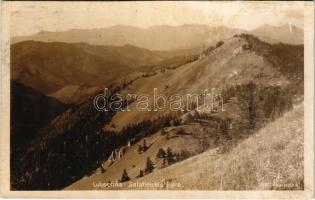 Fenyőháza, Lubochna; Salatinskie ziare / látkép / general view (vágott / cut)