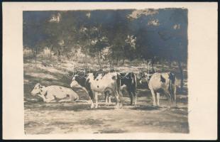 1930.XI.17, Pápateszér, Csillag József (1894-1977) festőművész autográf sorai Kézdi-Kovács László (1...