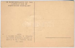 Beregszász, Beregovo, Berehove; A Felvidék visszacsatolásának emlékére. Irredenta művészlap. Szeiler...