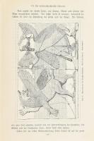 Kaulen Franz: Assyrien und Babylonien. Freiburg im Breisgau, 1899, Herdersche Verlagshandlung, 1 (cí...