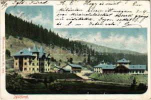 1901 Iglófüred, Spisská Nová Ves Kupele, Novovesské Kúpele; nyaraló szálloda. Wlaszlovits G. kiadása / spa, villa, hotel (szakadás / tear)
