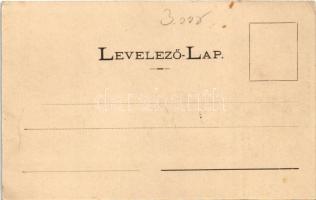 Iglófüred, Spisská Nová Ves Kupele, Novovesské Kúpele; Tátra szálloda, árucsarnok, iroda. Wlaszlovit...