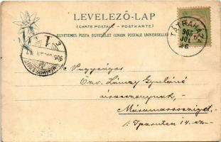 1905 Barlangliget, Höhlenhain, Tatranská Kotlina (Tátra, Magas Tátra, Vysoké Tatry); látkép. Feitzin...